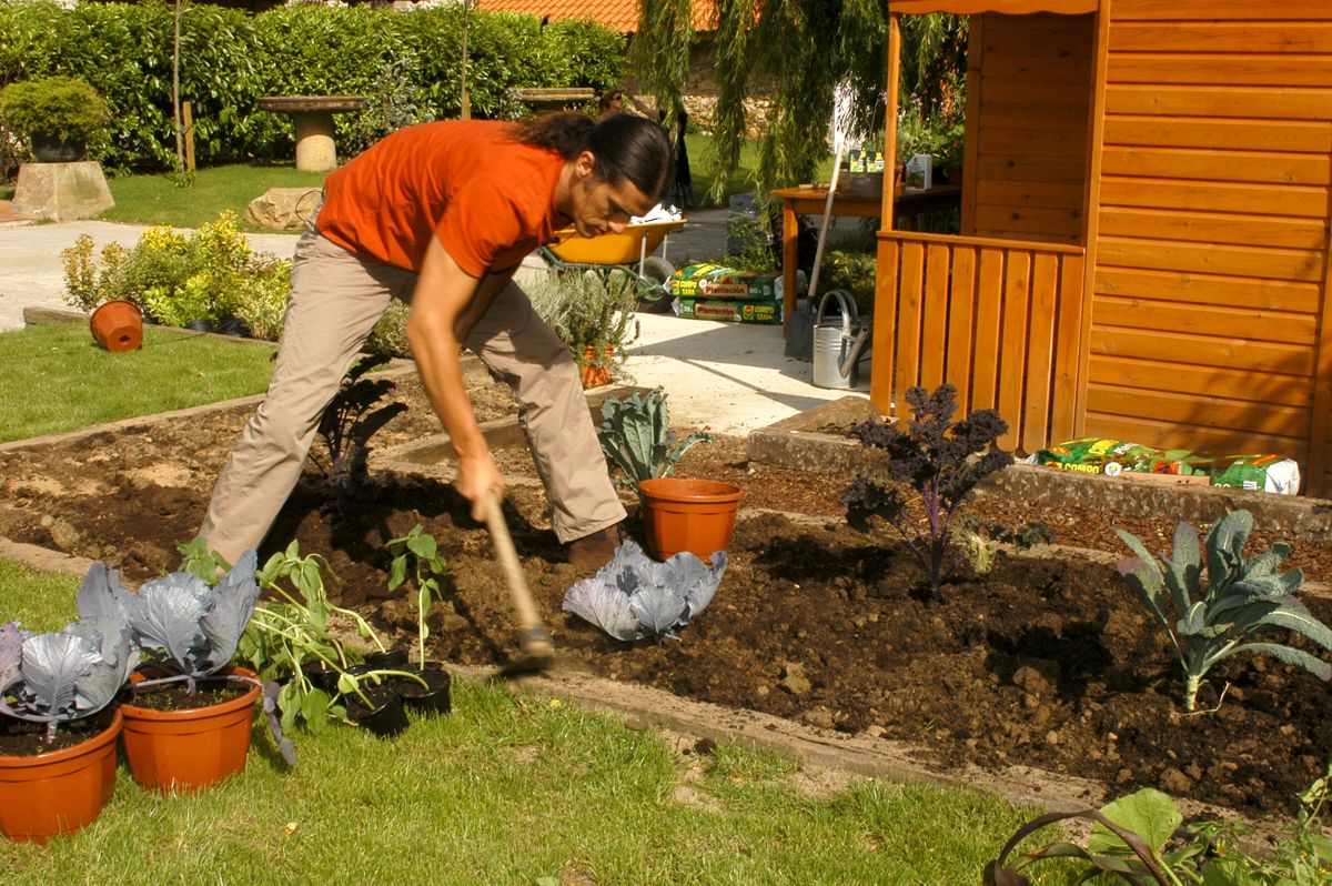 brico 0376 3 como hacer huerto plantas ornamentales paso 4