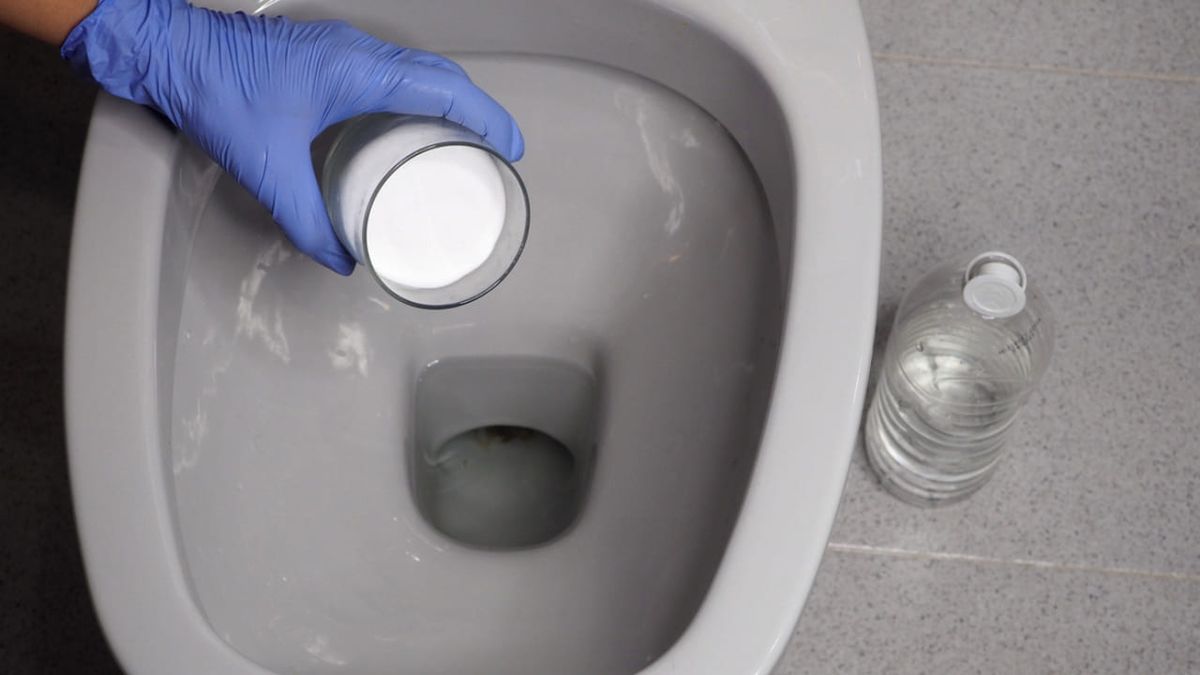 como desatascar un bano 3