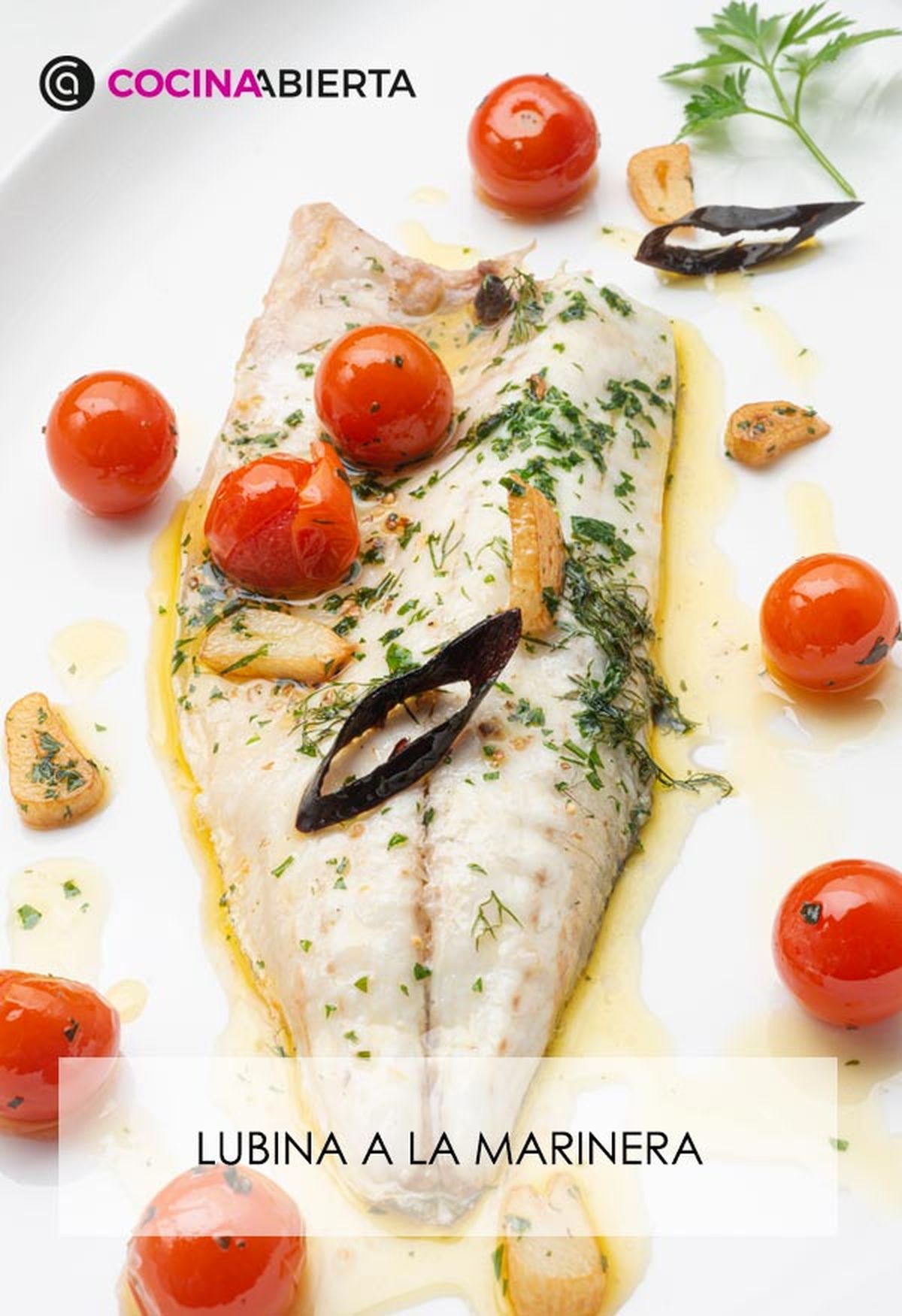 karl6632 lubina marinera v