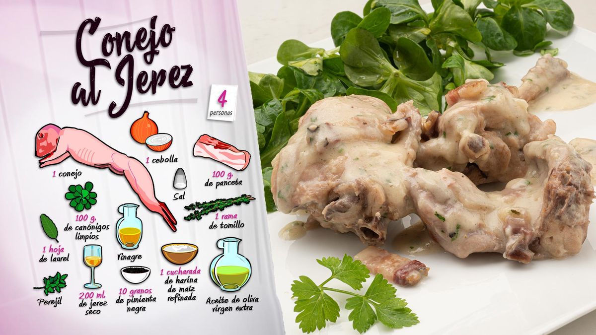 karl6690 conejo jerez ing