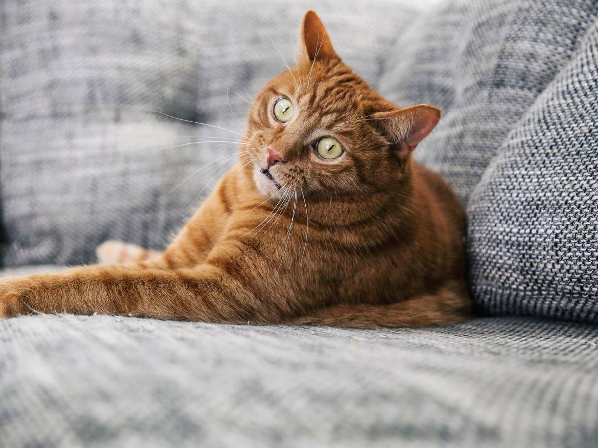 Lo mejor es utilizar una señal bimodal, por ejemplo: acompaña tu voz con un gesto.