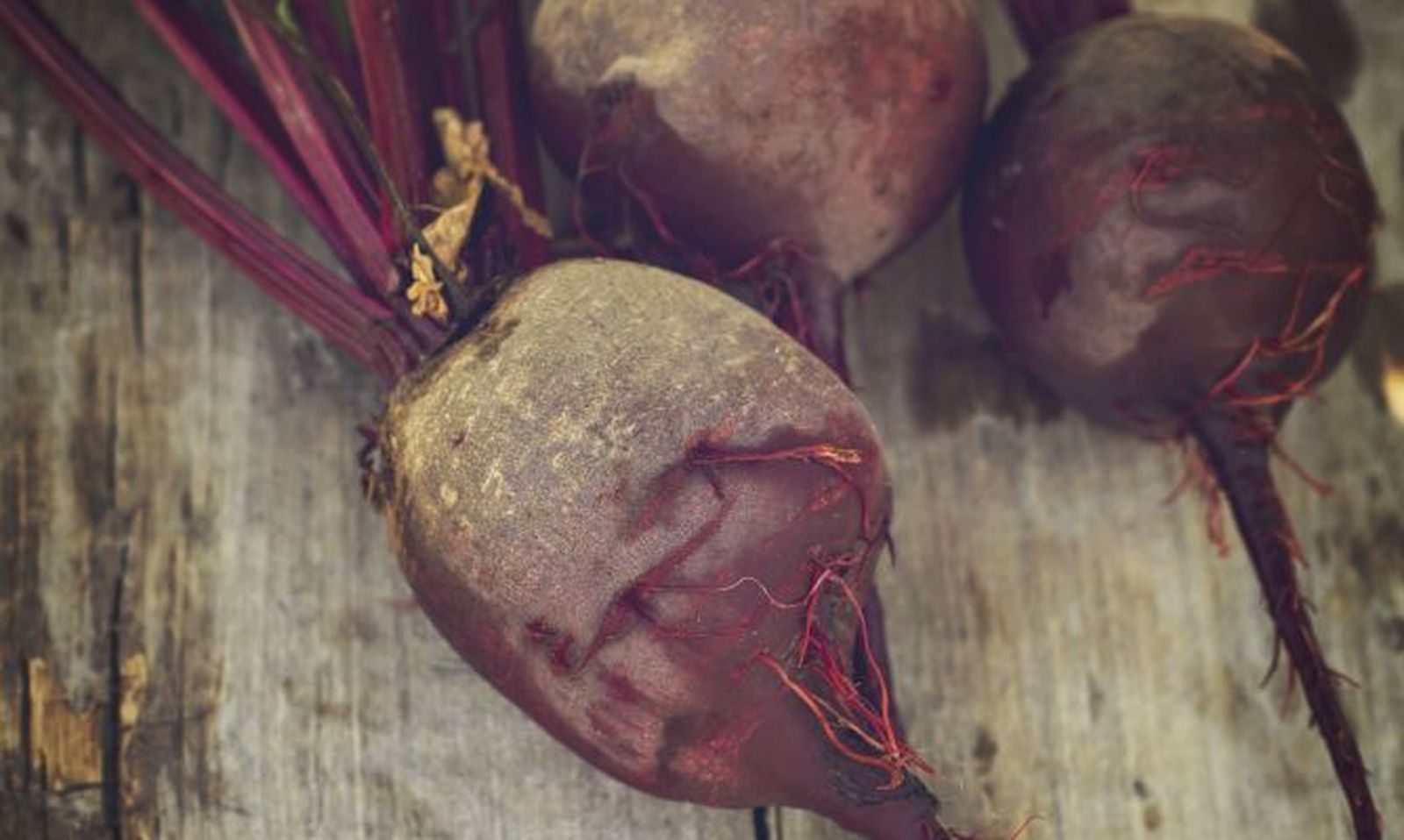 Cómo cultivar remolachas