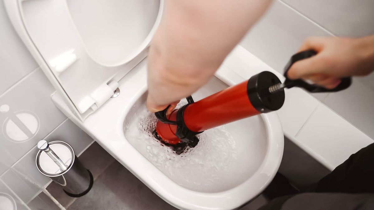 como desatascar un bano 2
