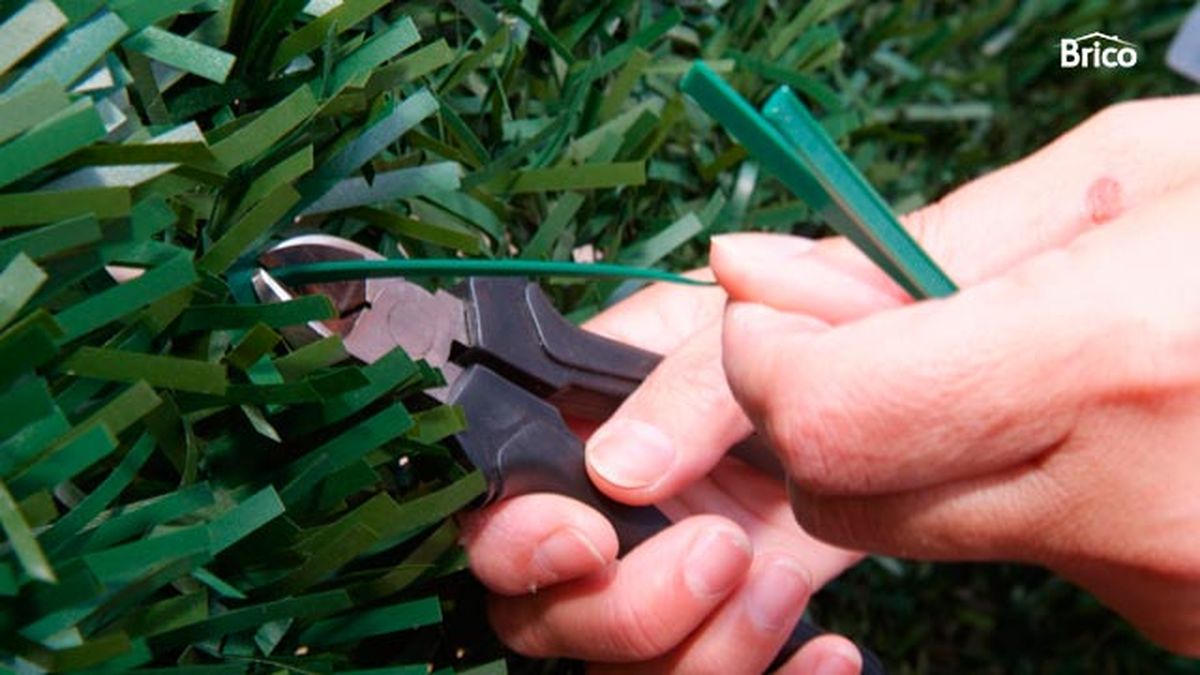 Separación con seto artificial paso 5