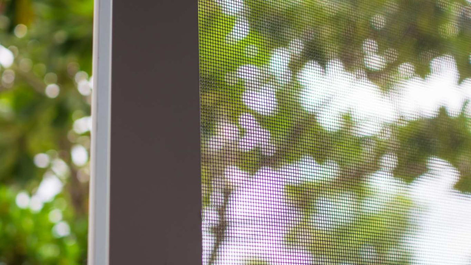 Una mosquitera en la ventana