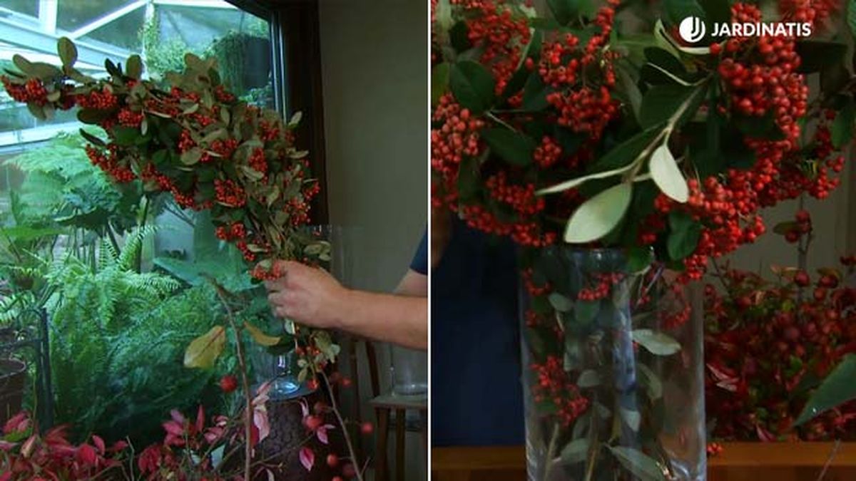 arreglo floral navideno cotoneaster deco 635 jardinatis