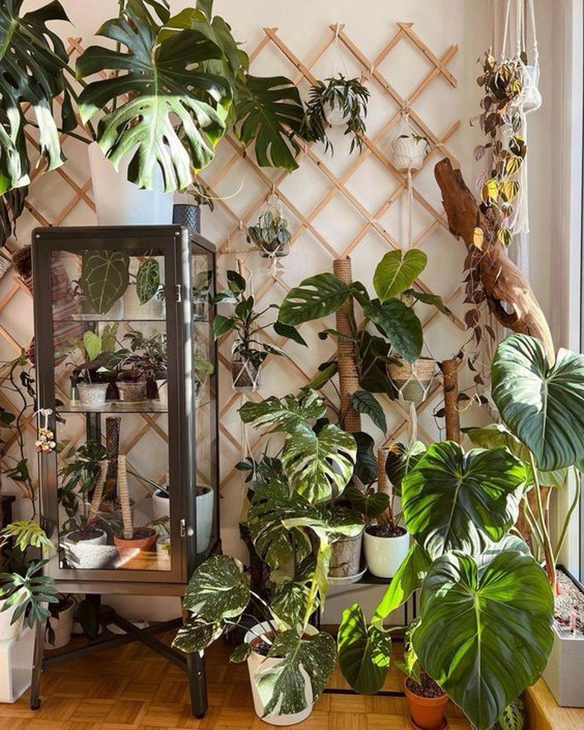 urban jungle salon 1