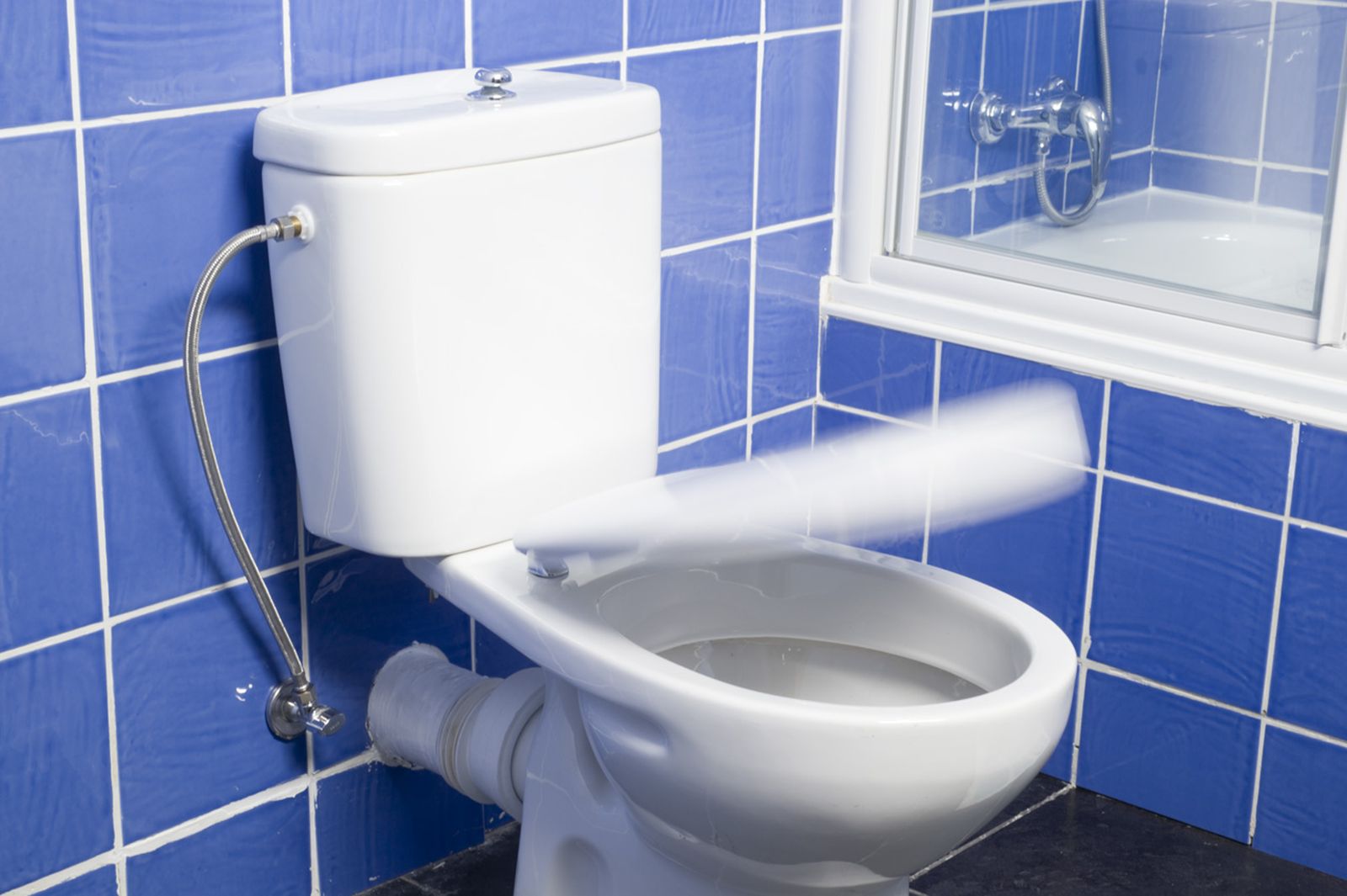 cambiar tapa inodoro