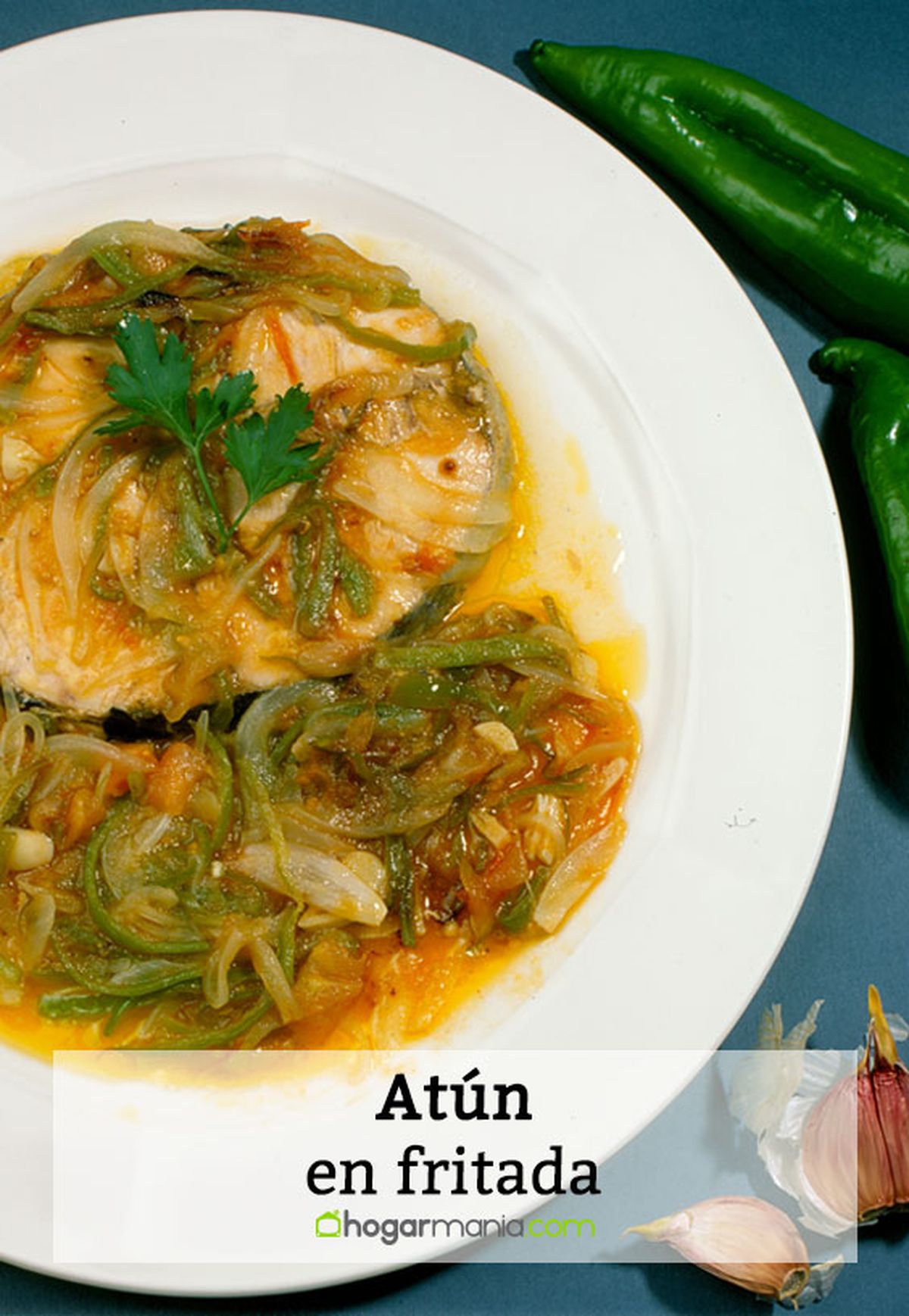 042 2 atun fritada  pin final