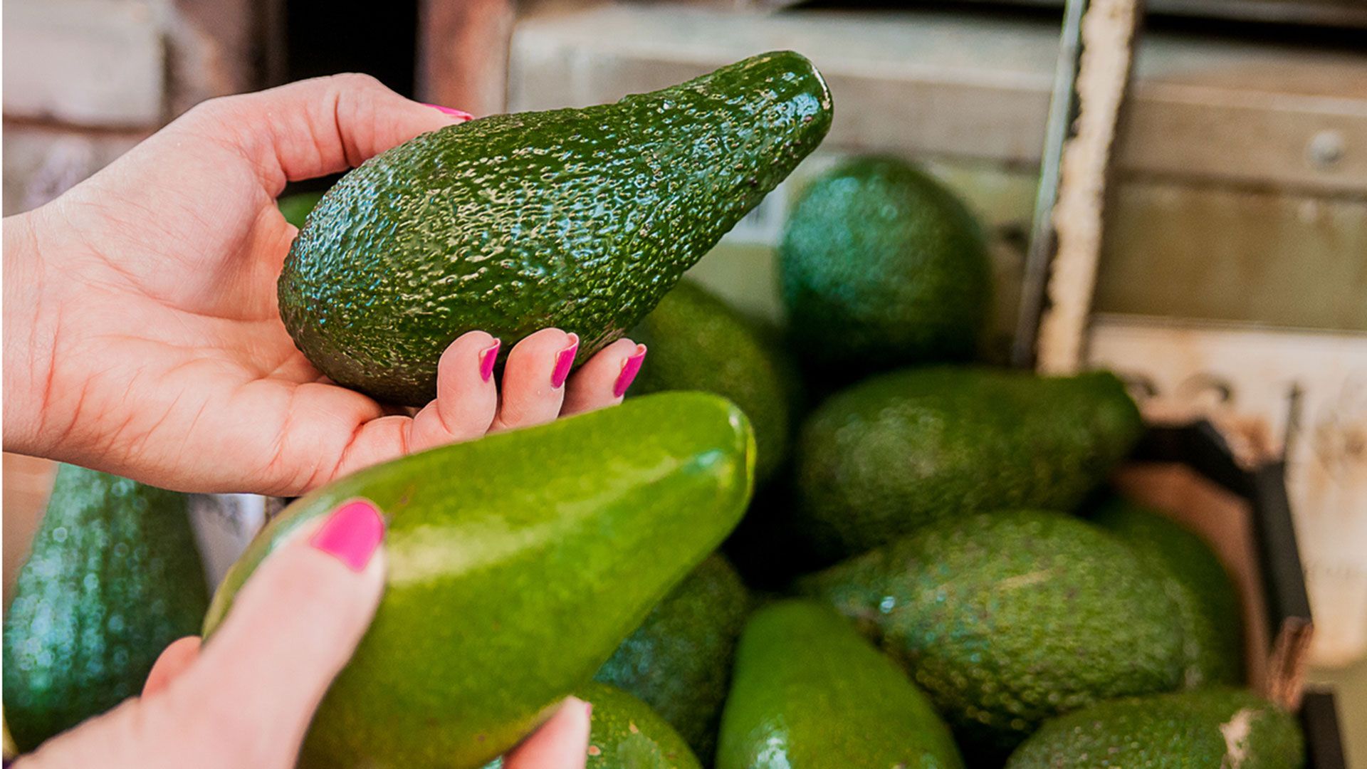 como saber si un aguacate esta maduro xl