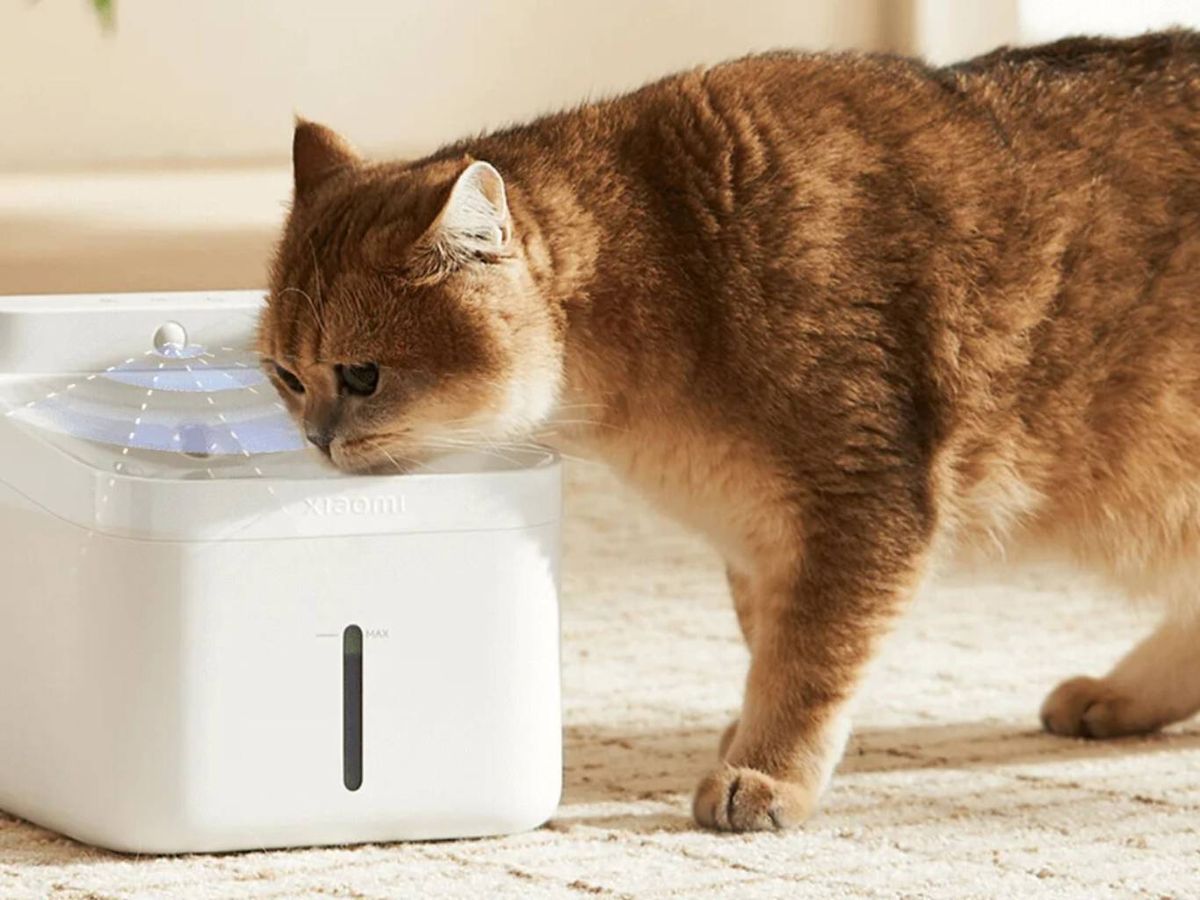 El diseño de este modelo mantiene la estética minimalista en blanco de su predecesor.