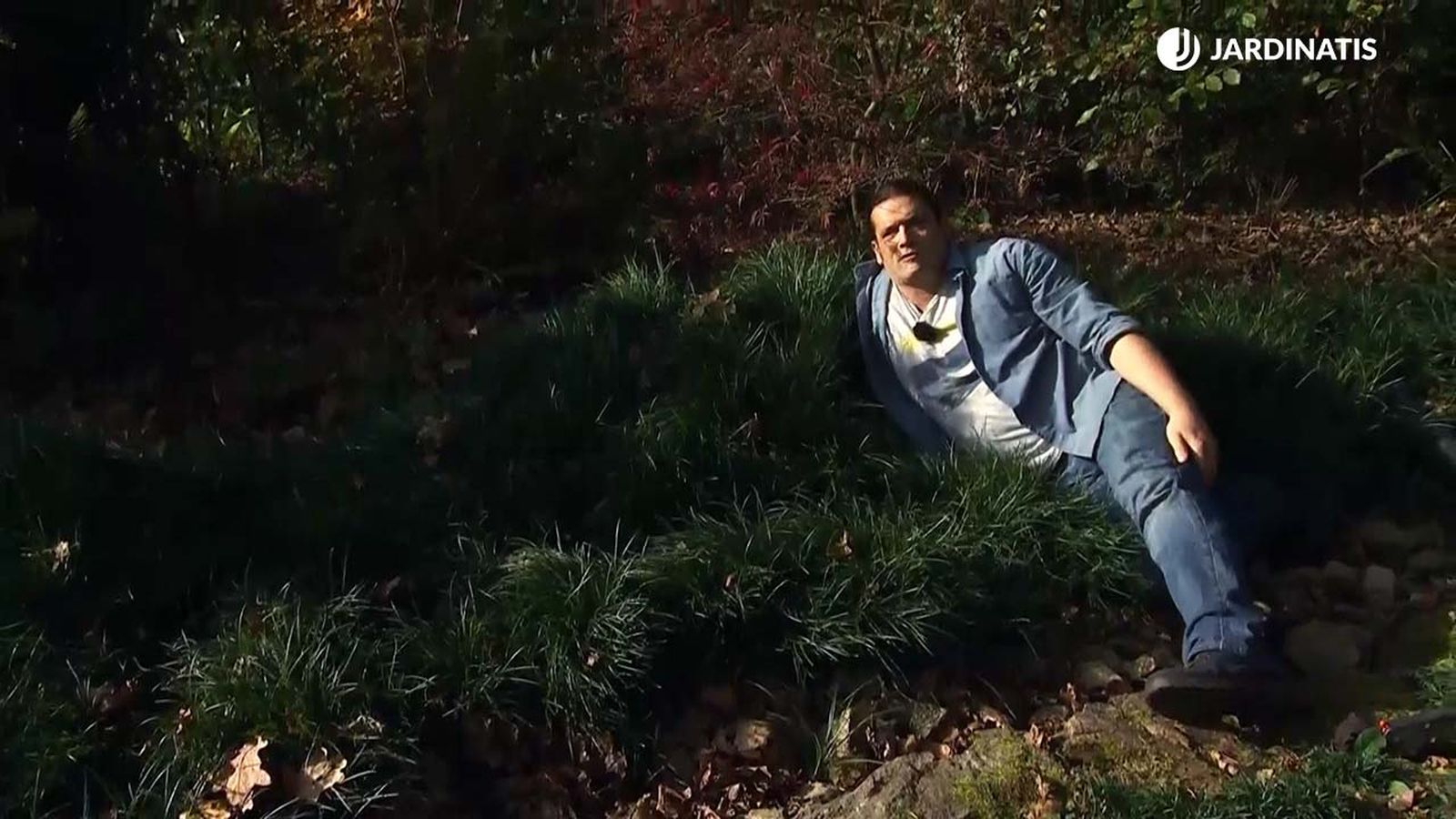 deco717 jardineria plantas cubresuelos xl