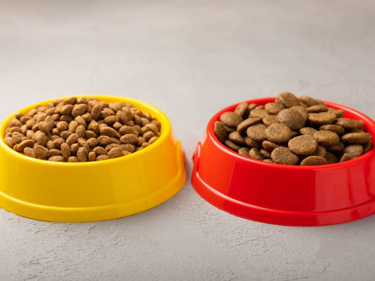 Solamente distinguen bien dos gamas de colores, los azules y los amarillos.