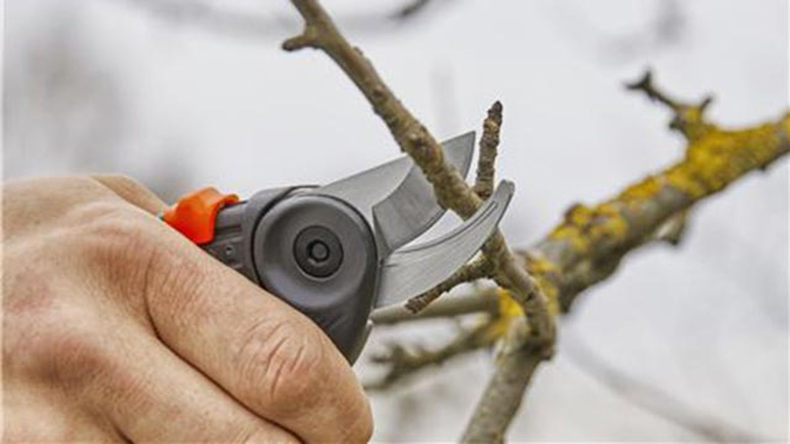 tijeras de jardineria gardena