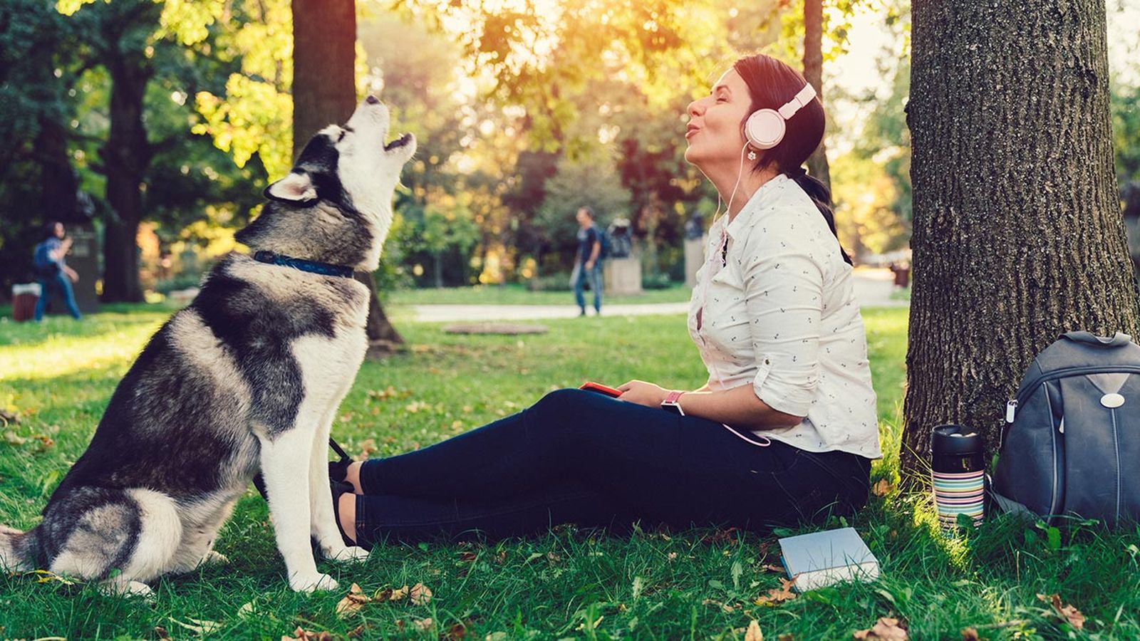 afecta musica mascotas 1