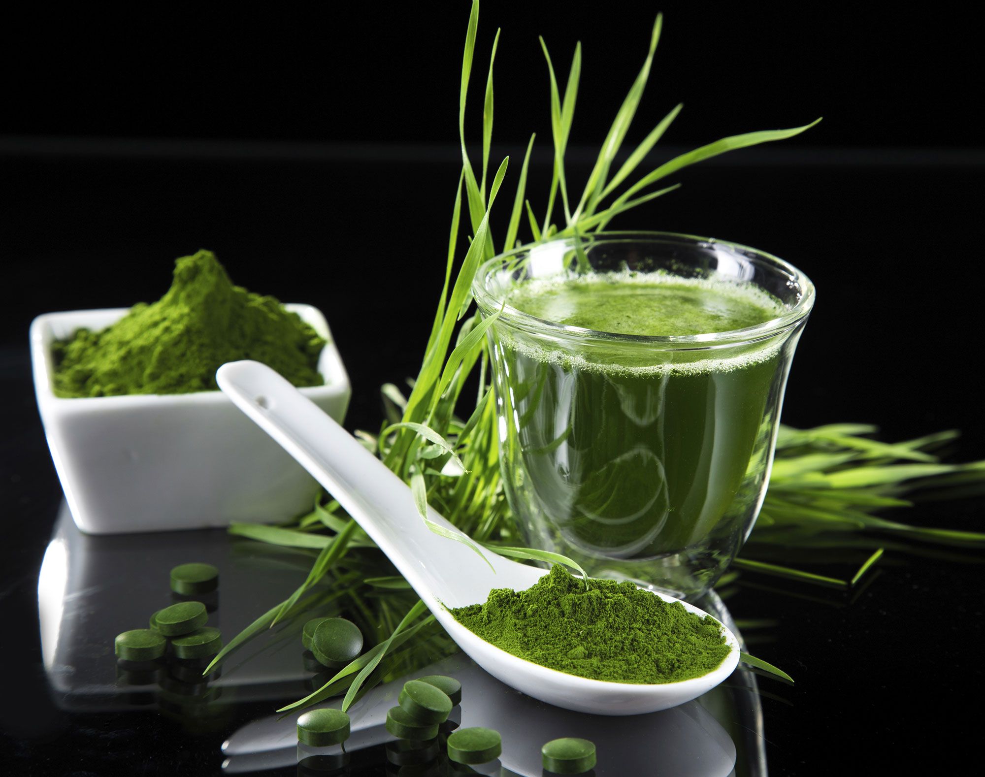 alga espirulina xl