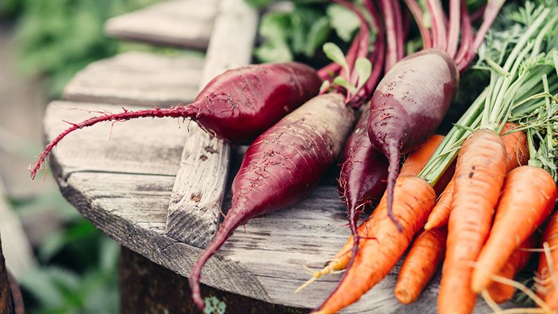 vegetales