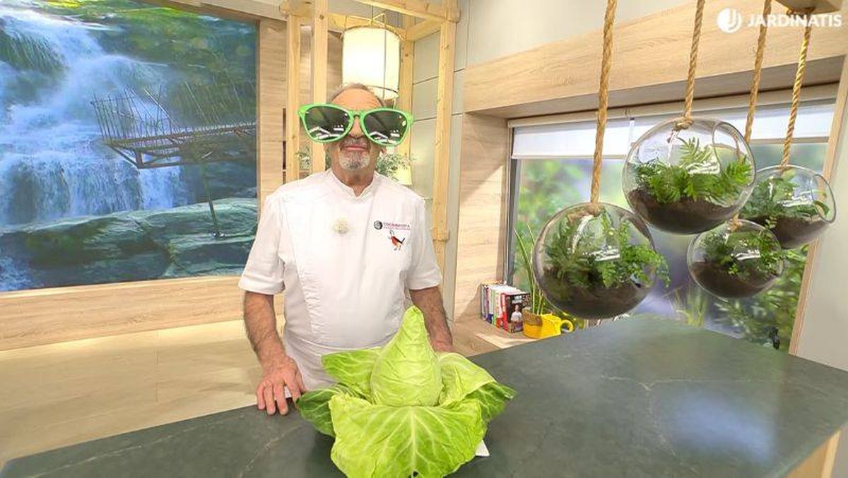 Estos helechos colgantes han llamado mucho la atención.