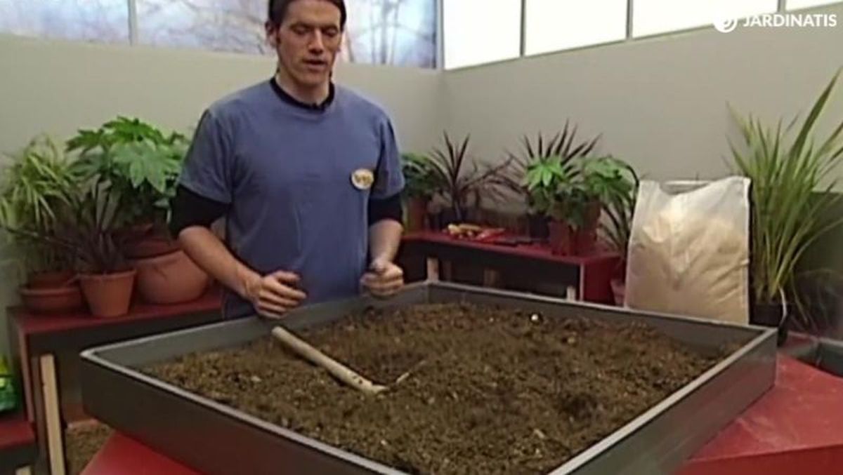 Vamos a trabajar sobre un metro cuadrado.