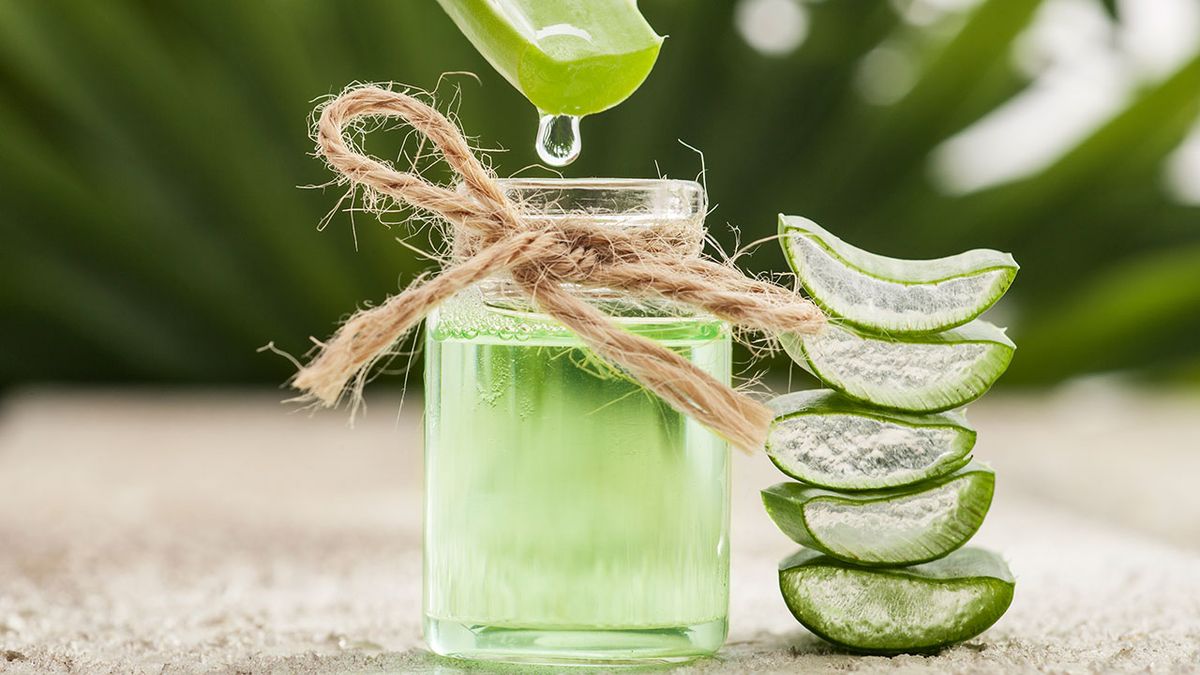 aloe vera