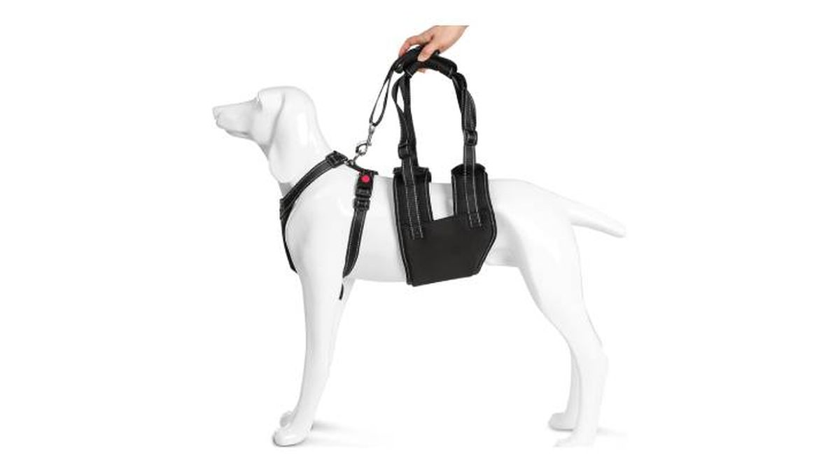 arnes ortopedico perros ownpets amazon