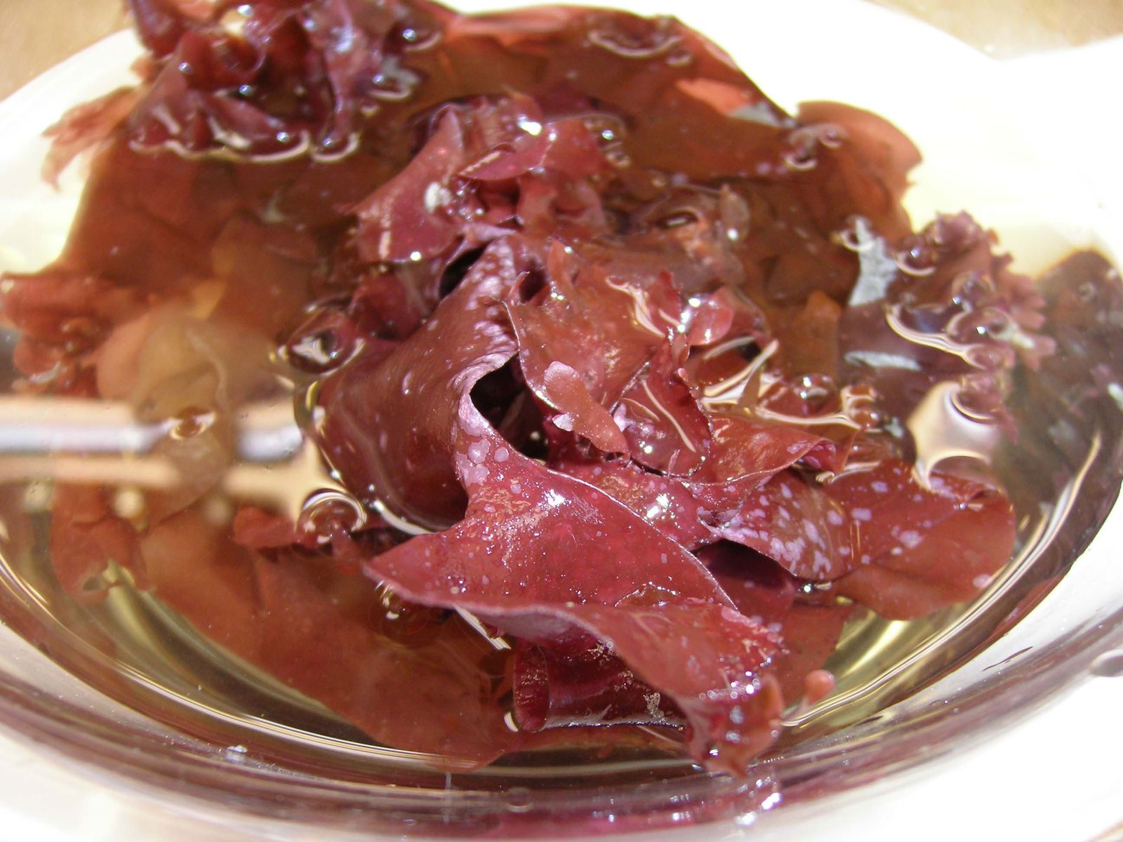 Alga dulse