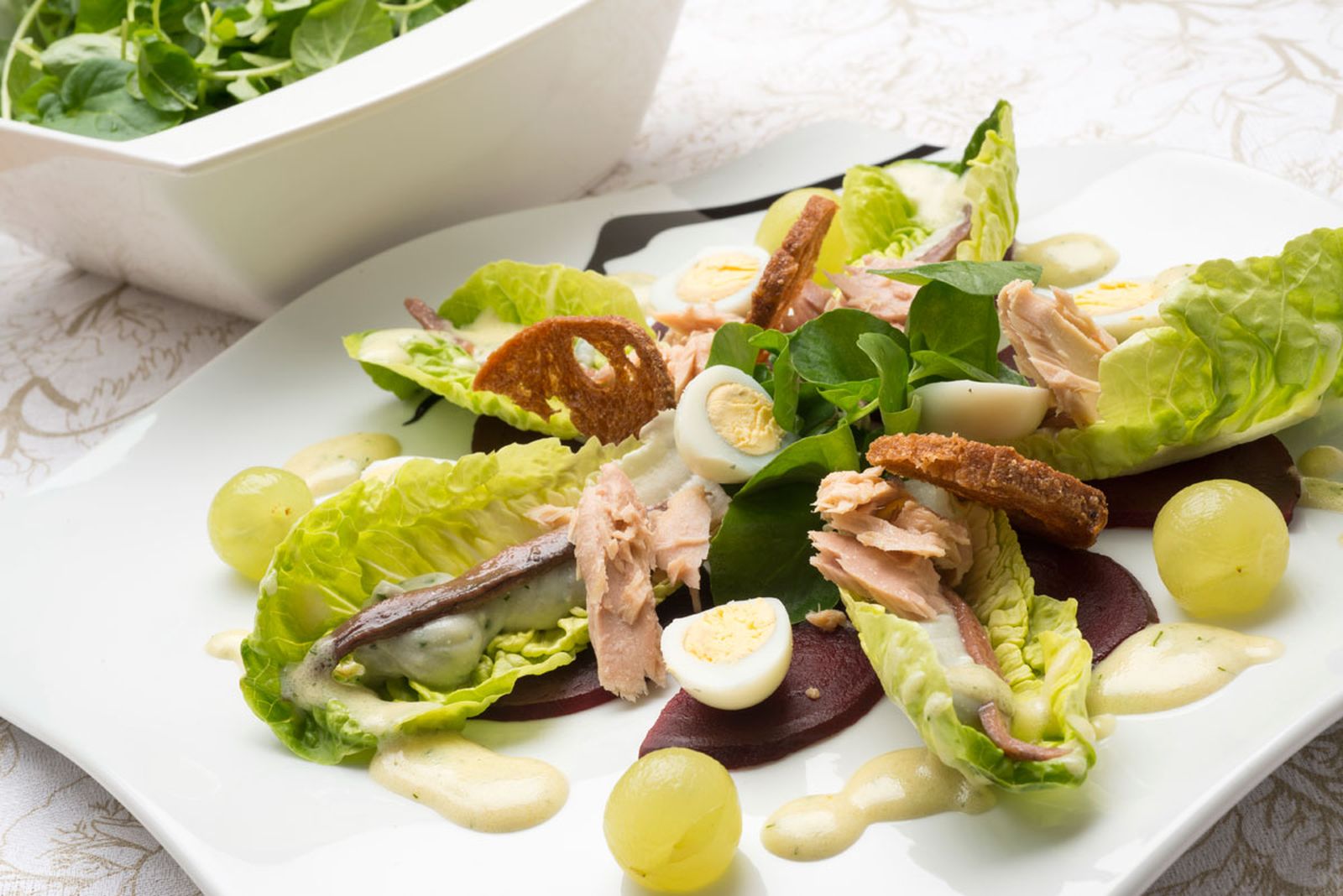 516 Ensalada de cogollos (5131) xl