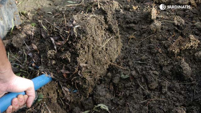 airear tierra para nueva plantacion en huerto