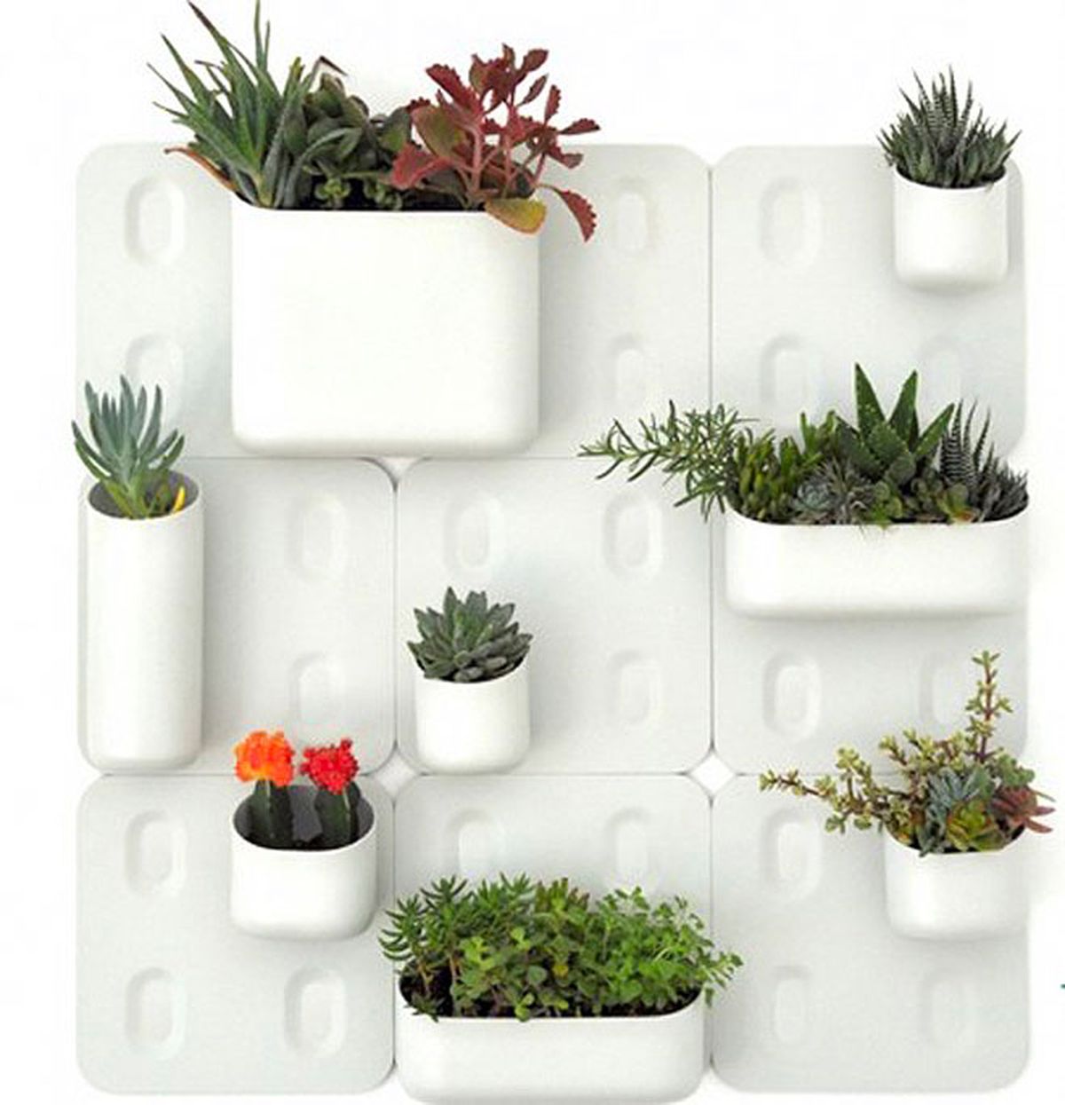 decoracion vegetal jardin interior 8