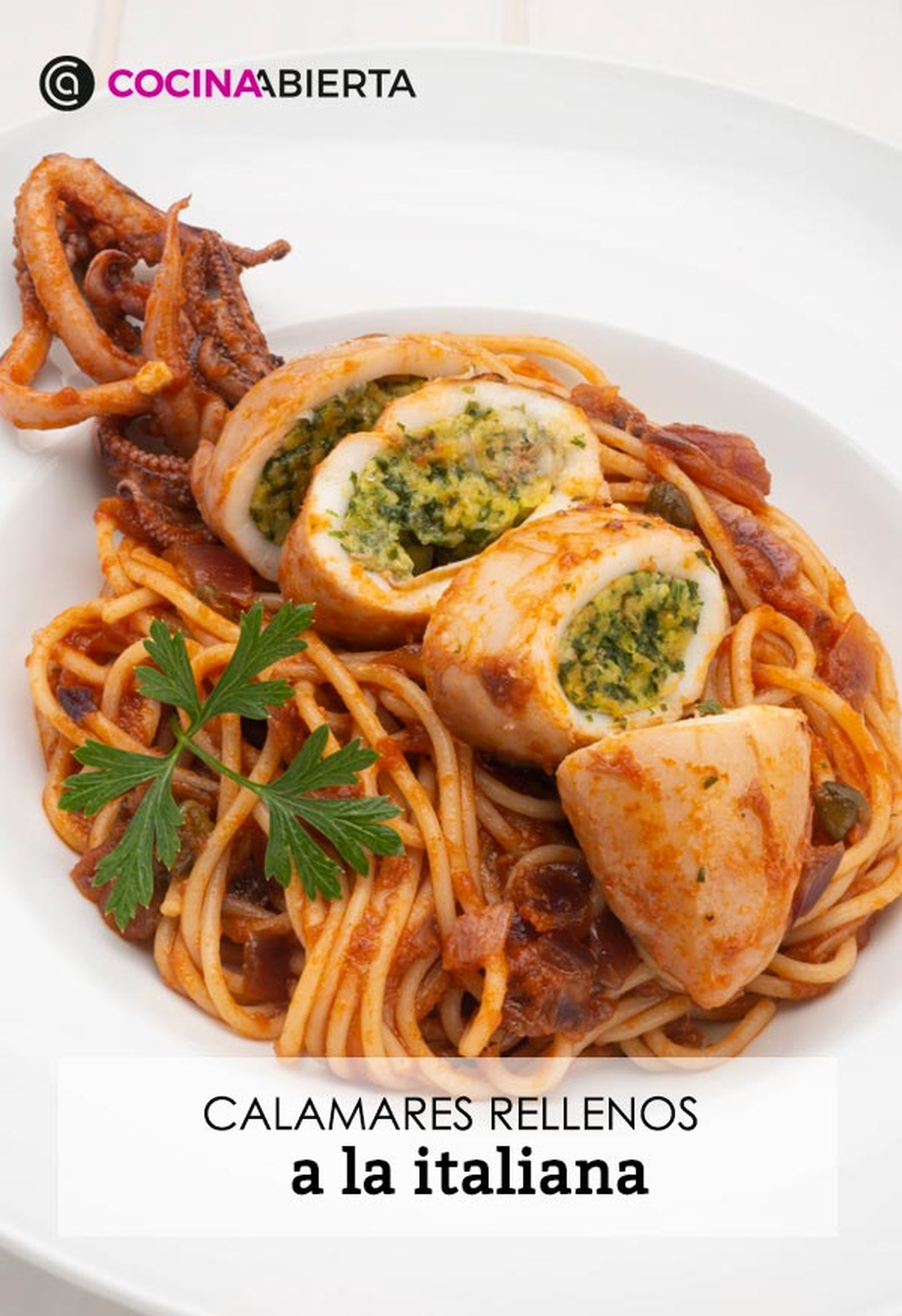 karl6604 calamares italiana v