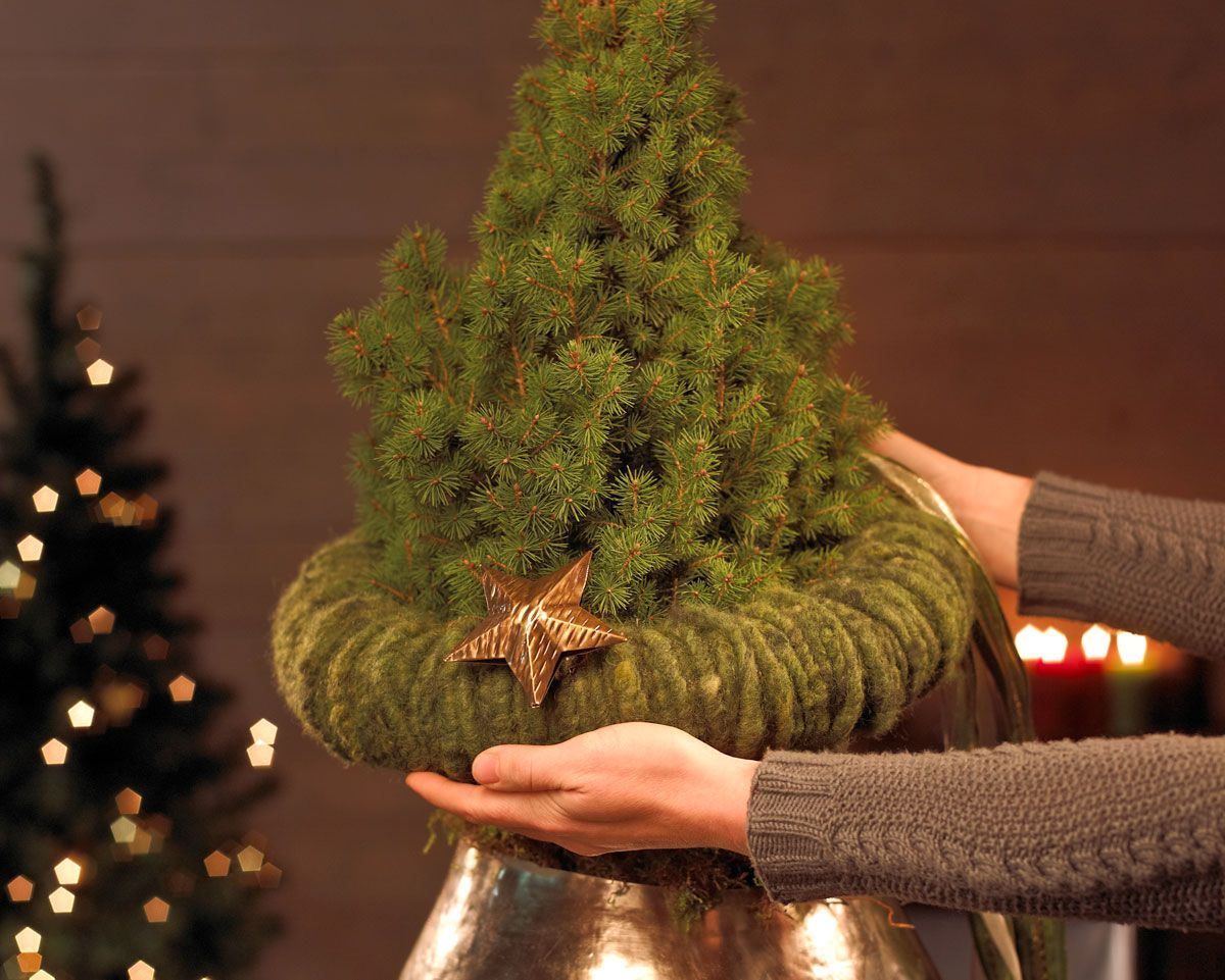 arbol navidad paso 1