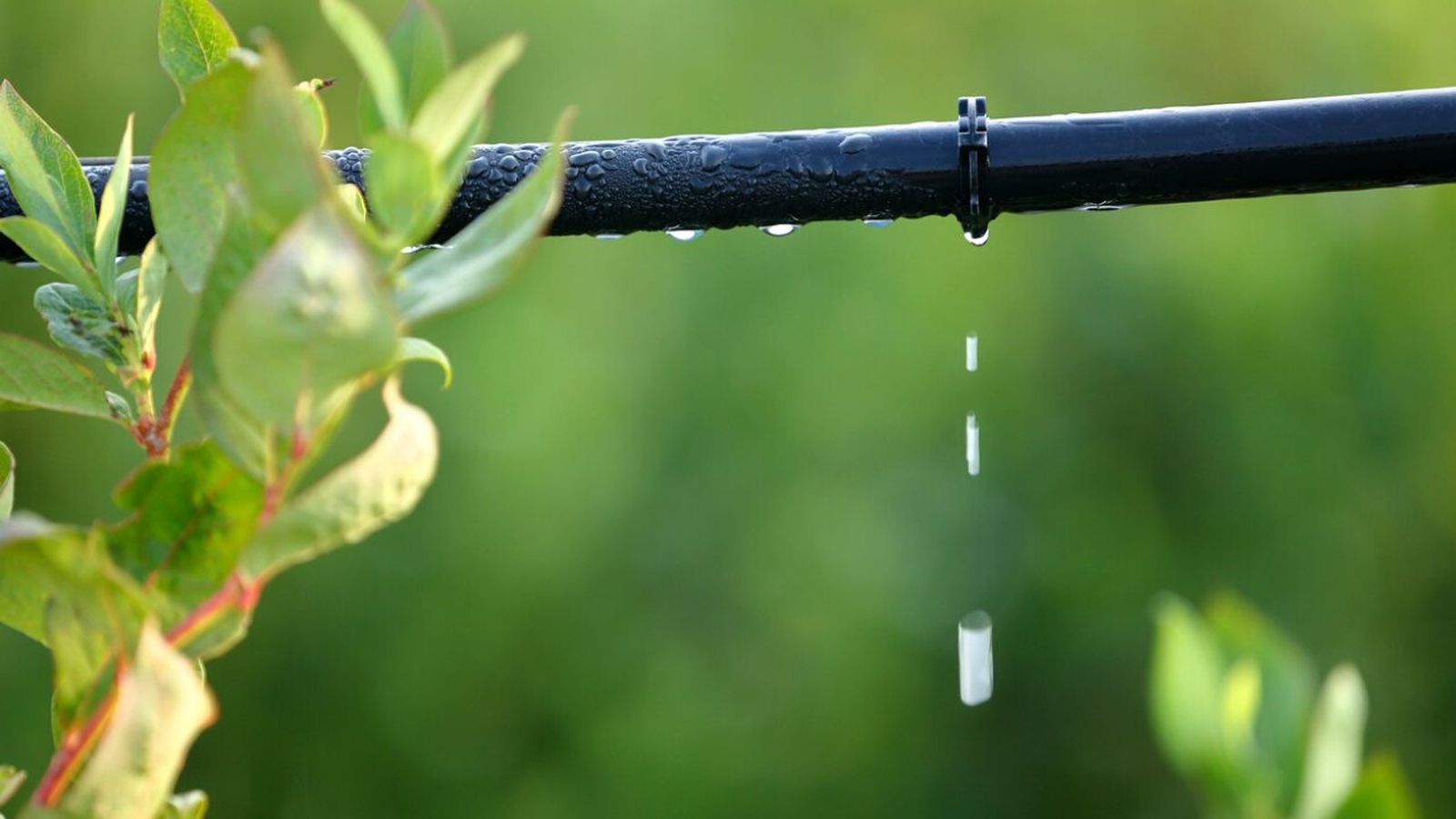 que es el riego por goteo