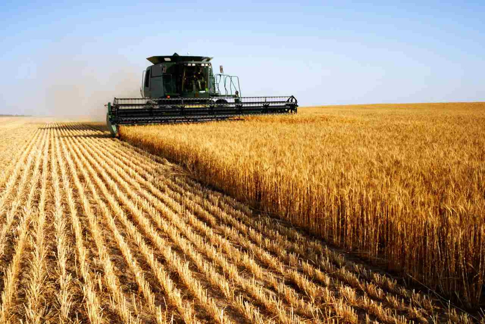 La rotación de cultivos mejora la nutrición del suelo.