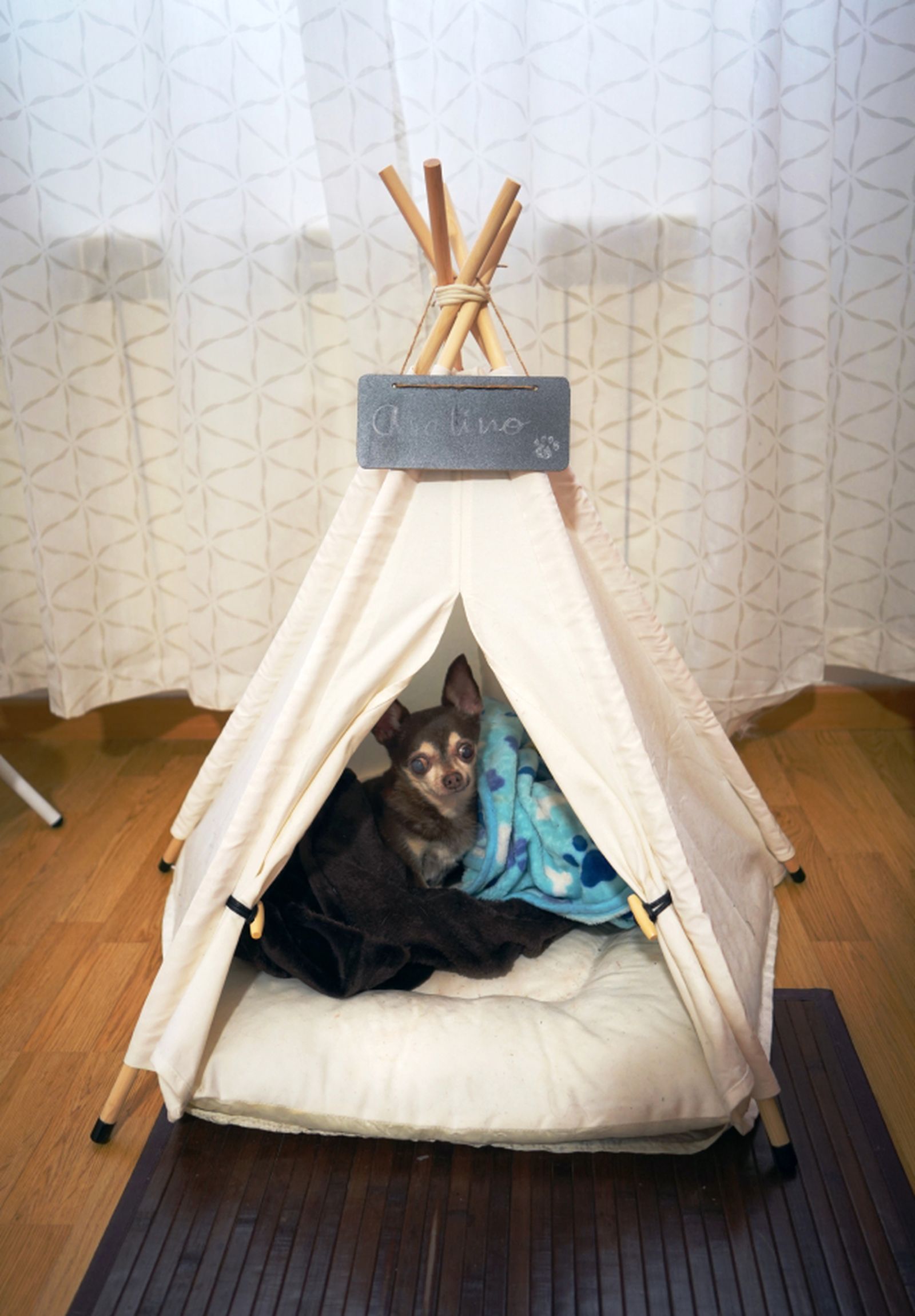 tipi avelino