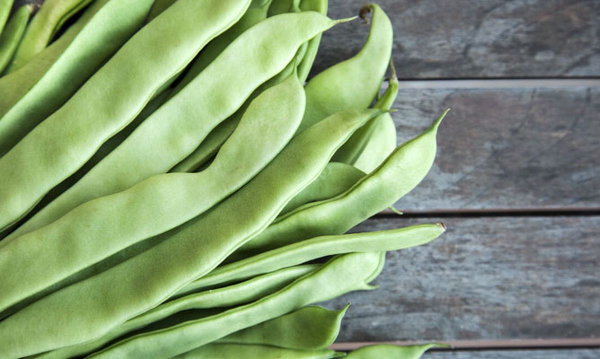 5358 nutricion ainhoa judias verdes xl