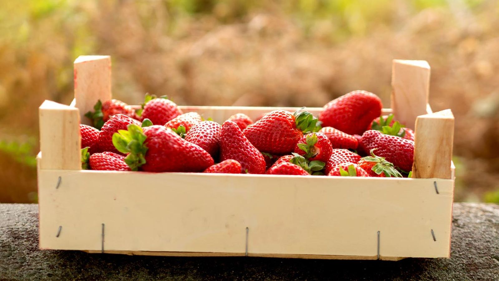 reciclar cajas fresas