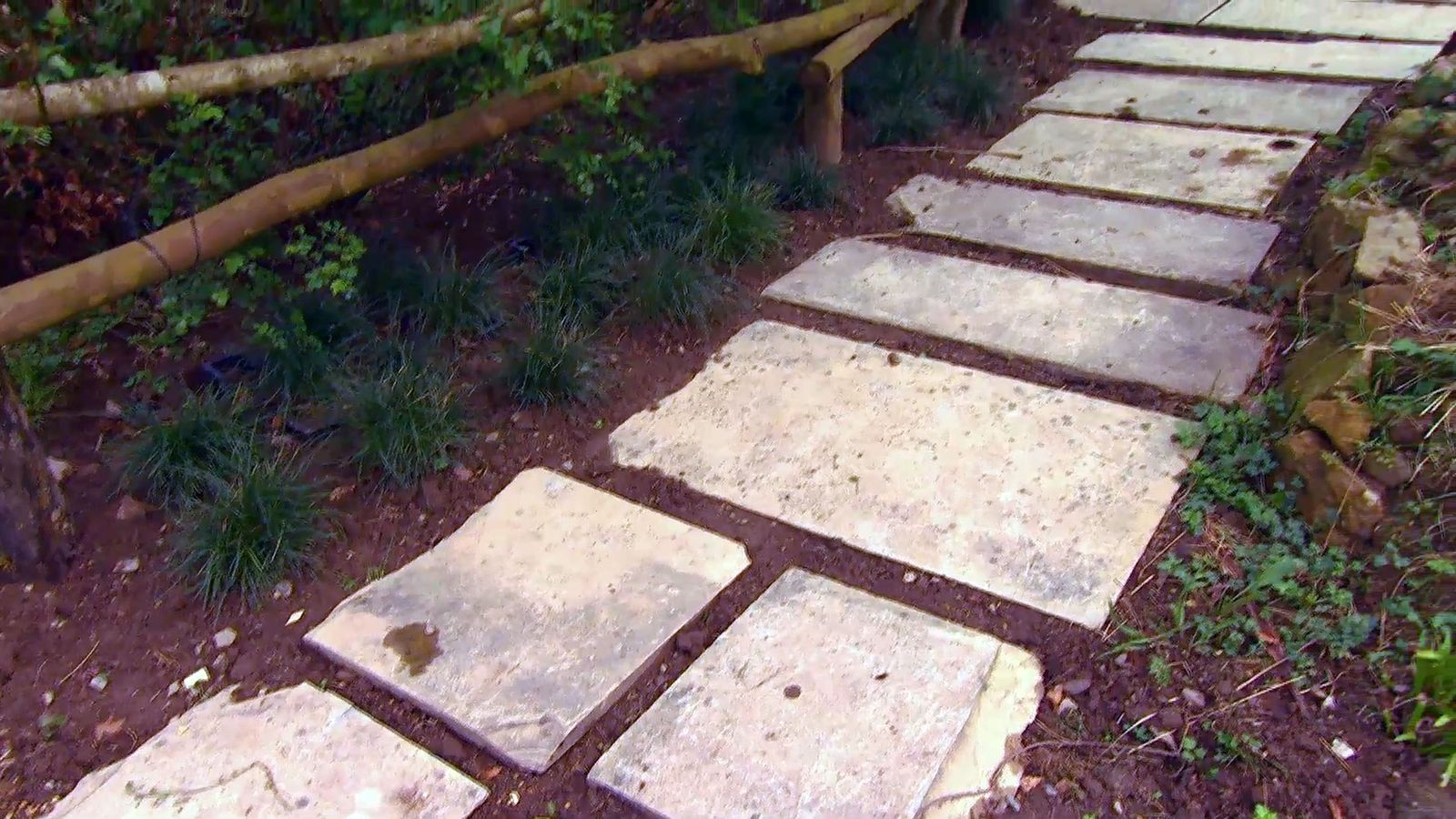 deco 0652 jardineria reverdecer camino losetas ophiopogum xl