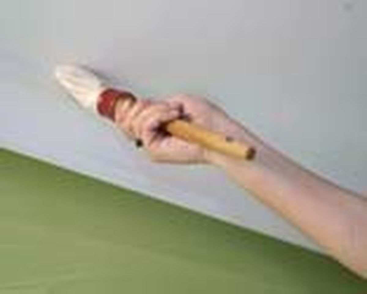 brico 0496 2 pintura elimina olores paso 3