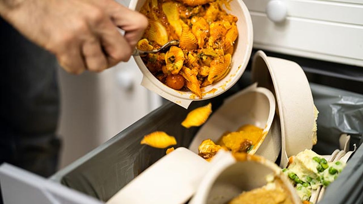 ley desperdicio alimentario 1