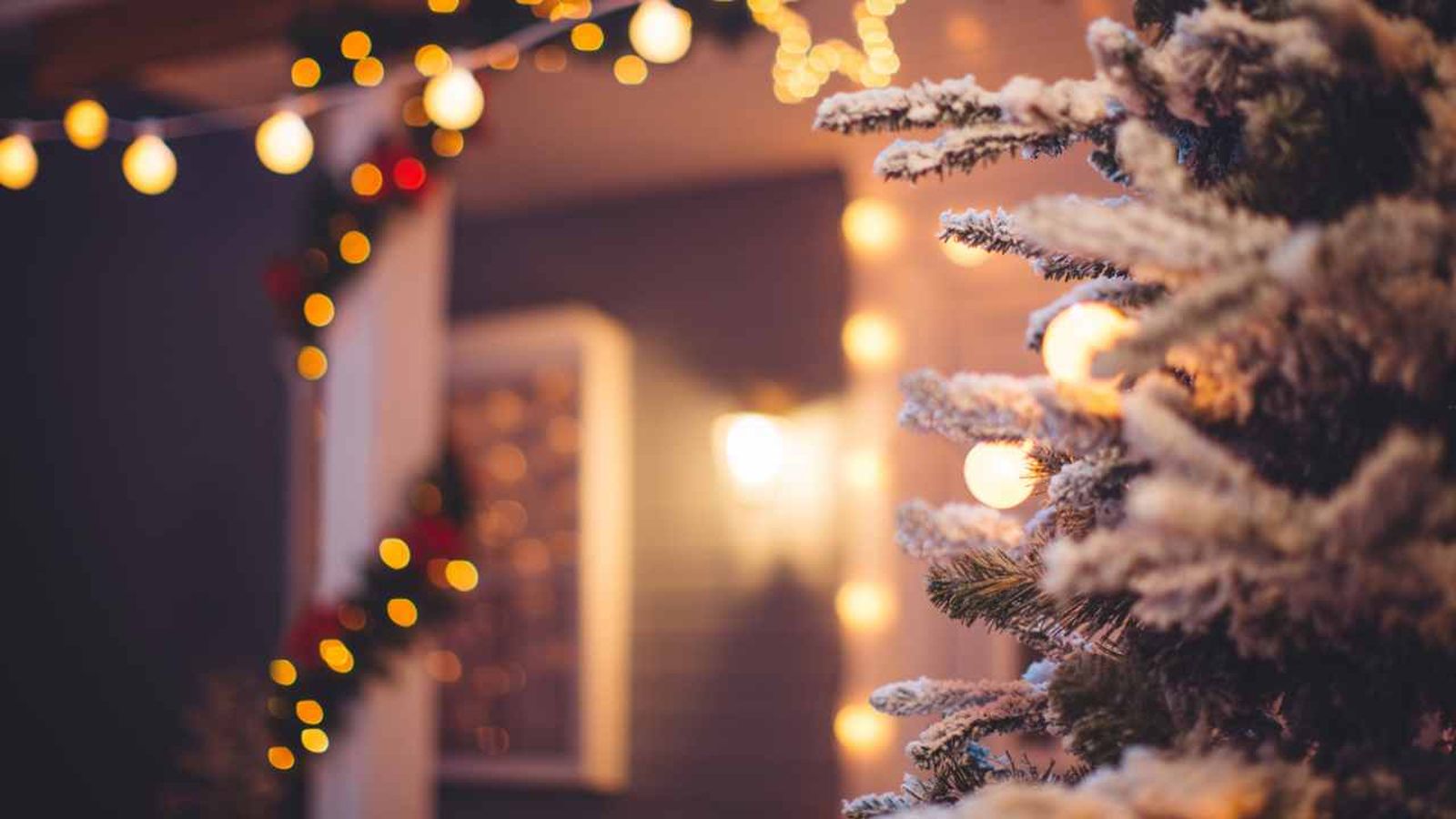 Adornos navideños en el jardín