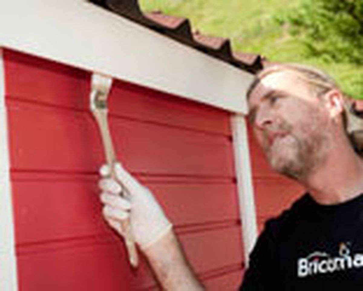 brico 655 pintar caseta madera paso 19