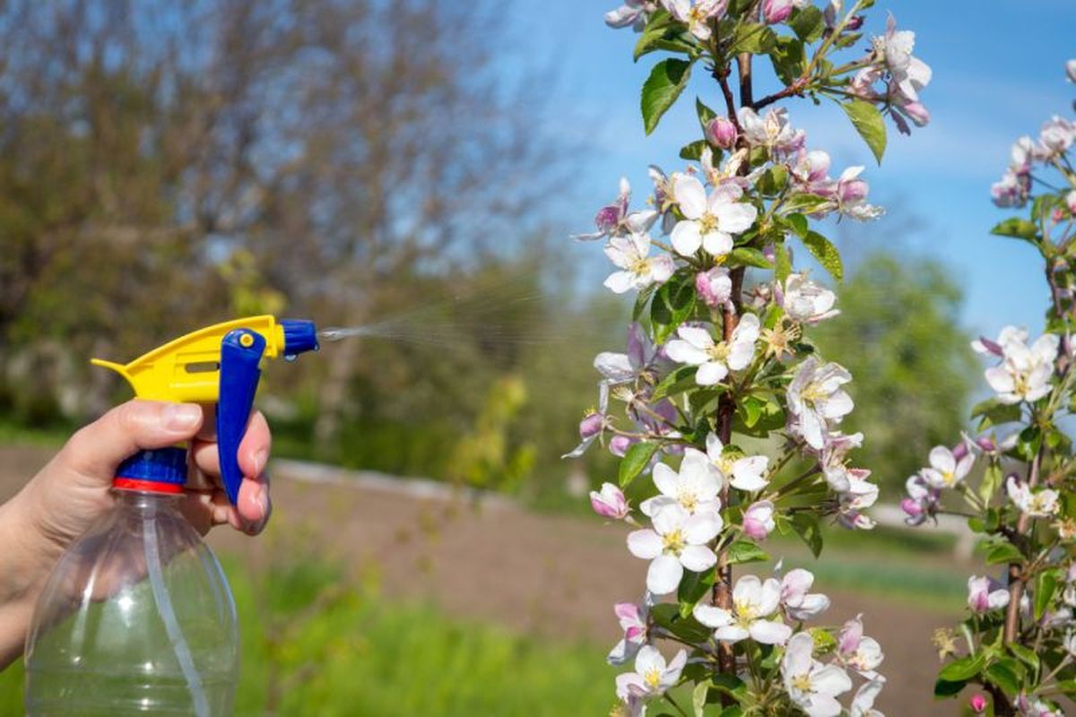 Botella de plástico transformada en una regadera original para el jardín
