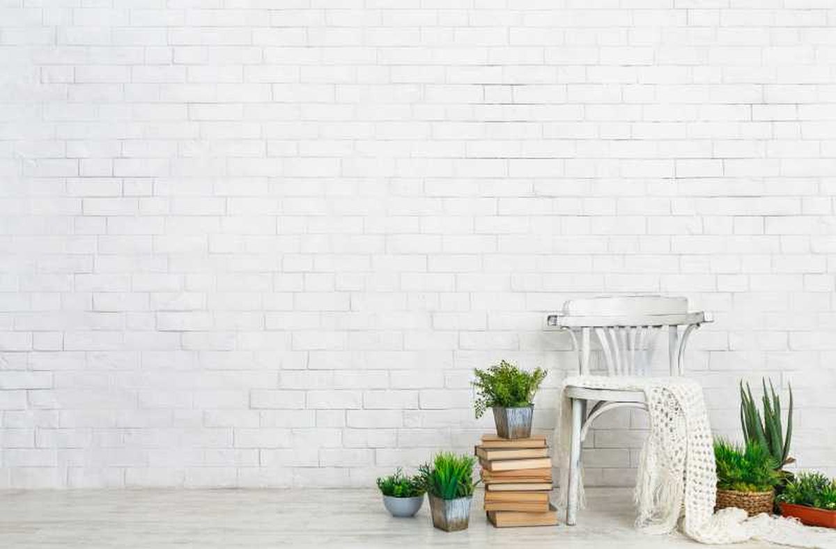 Rincón decorado con libros y plantas.