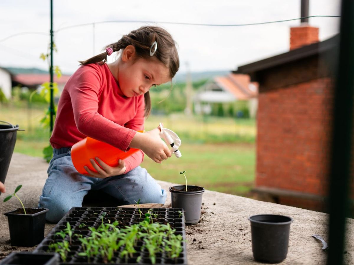 Huerto urbano de los niños.