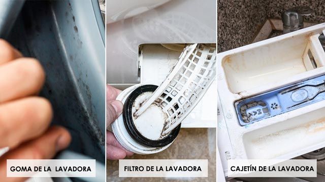 como limpiar la lavadora por dentro con bicarbonato de sodio vinagre partes