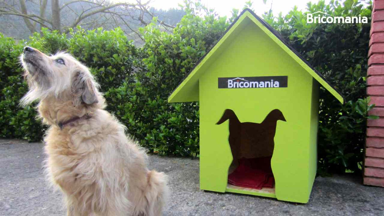 Una caseta para perro personalizada