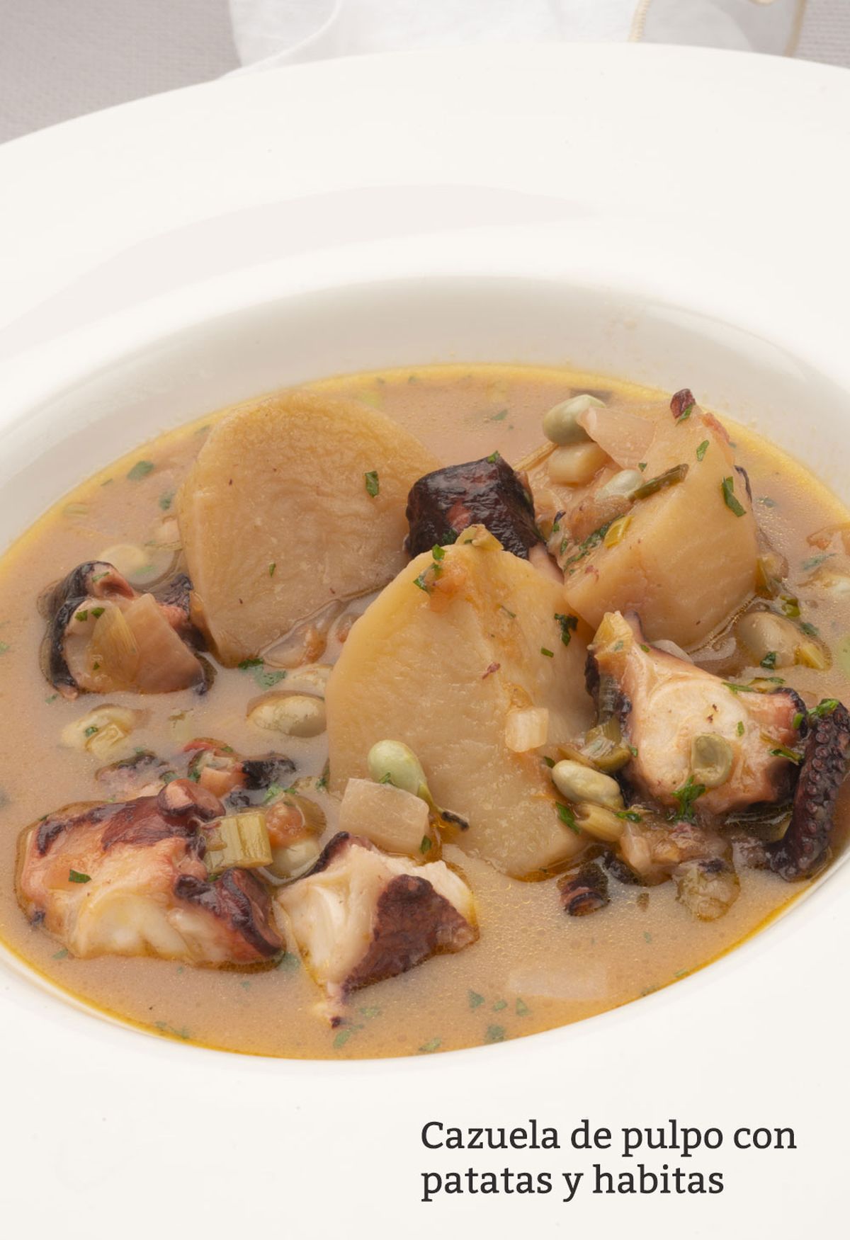 cazuela pulpo vertical