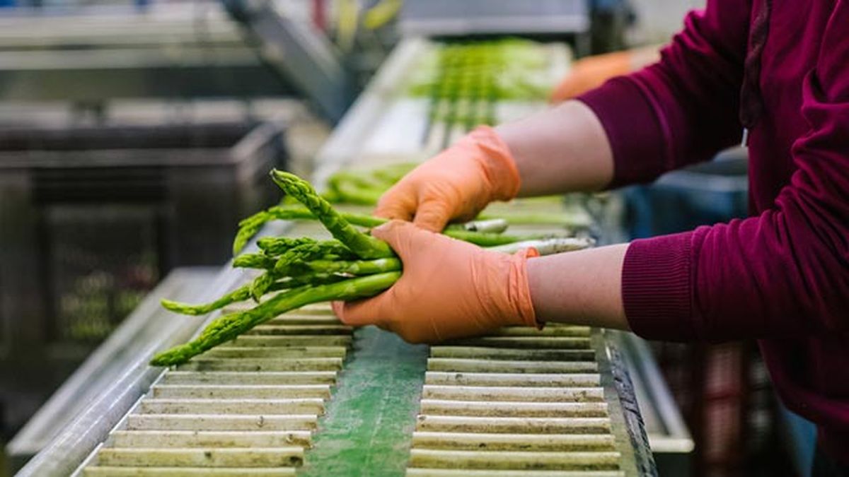 diferencias entre contrato de trabajo temporal y fijo discontinuo