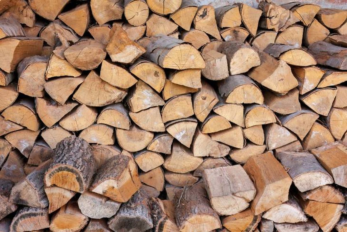 leña apilada secar madera