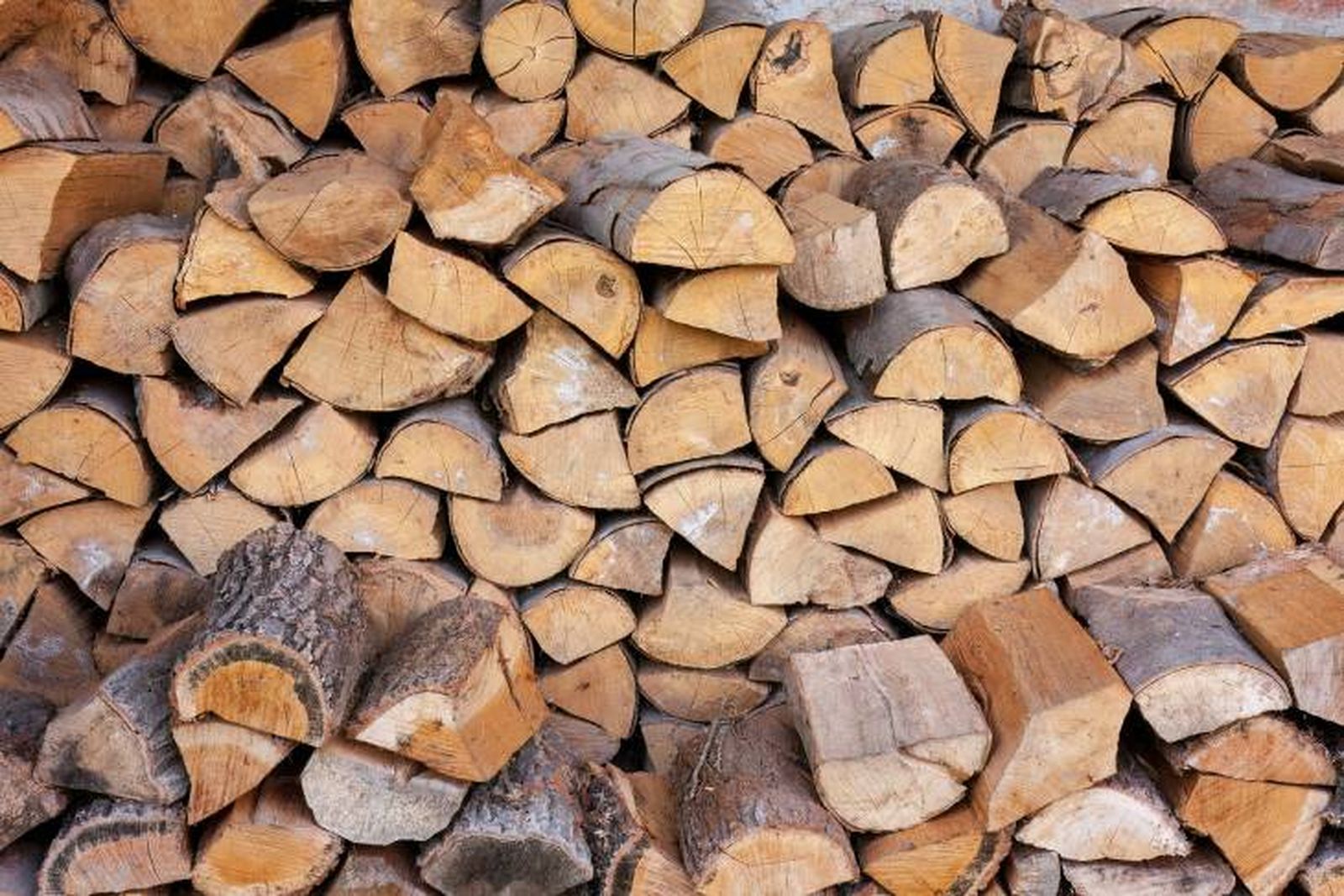 leña apilada secar madera